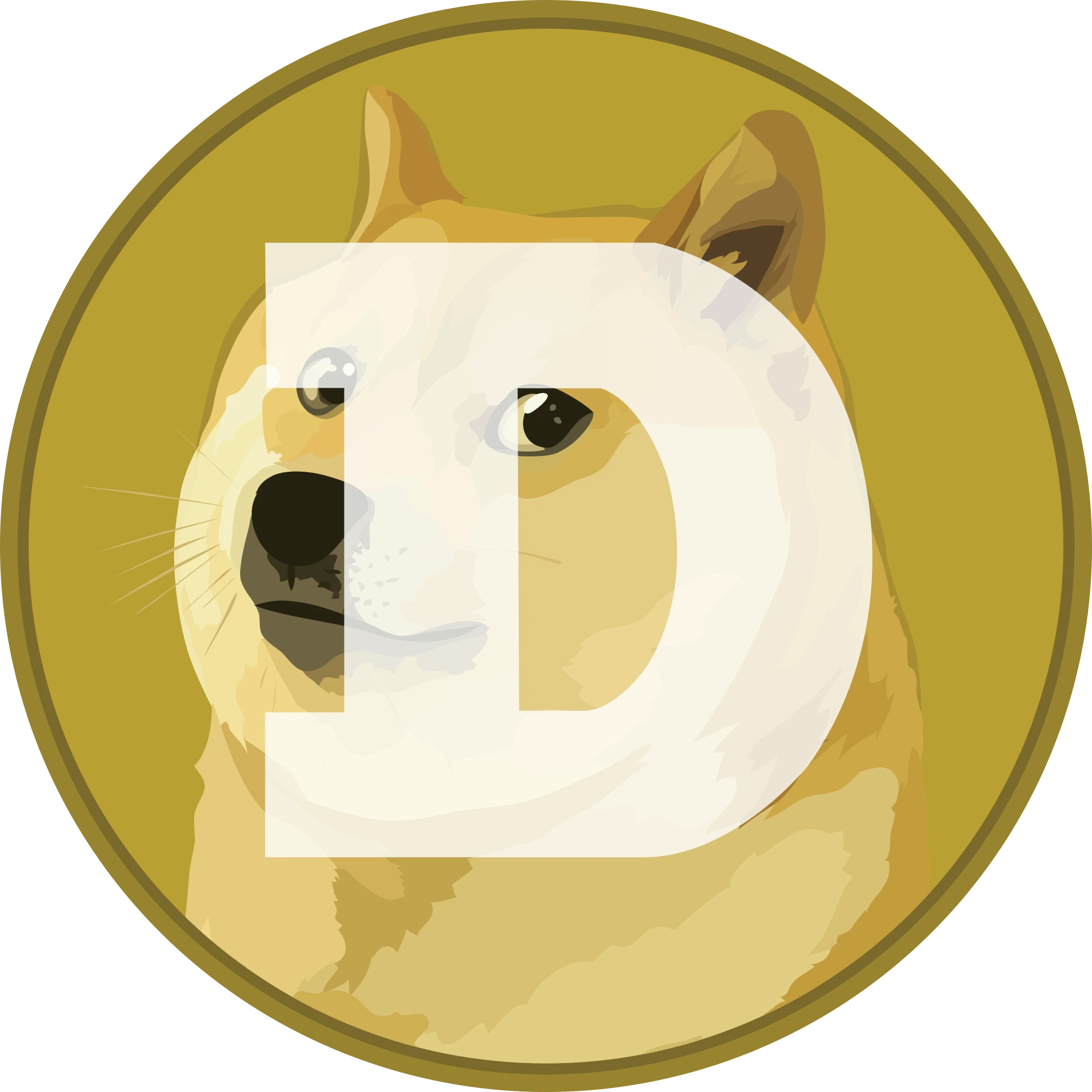 Dogecoin Payment